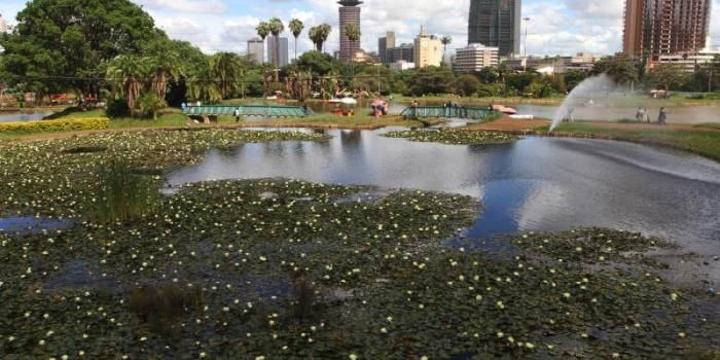 Court Stops Uhuru Park Renovation Court Stops Uhuru Park Renovation