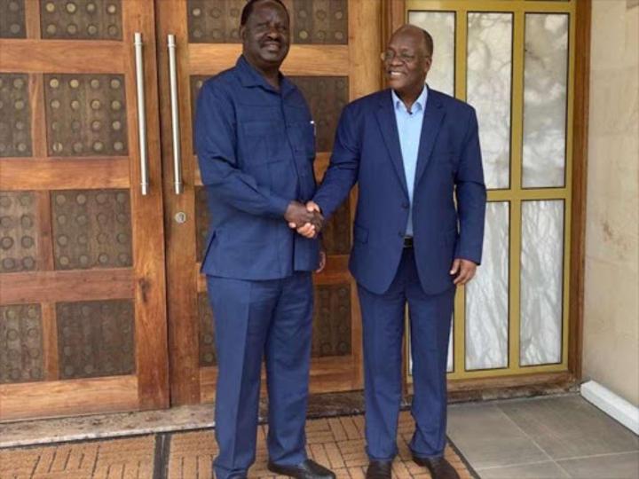 'I will draw lessons shared with Magufuli to transform Kenya', says Raila Odinga 'I will draw lessons shared with Magufuli to transform Kenya', says Raila Odinga