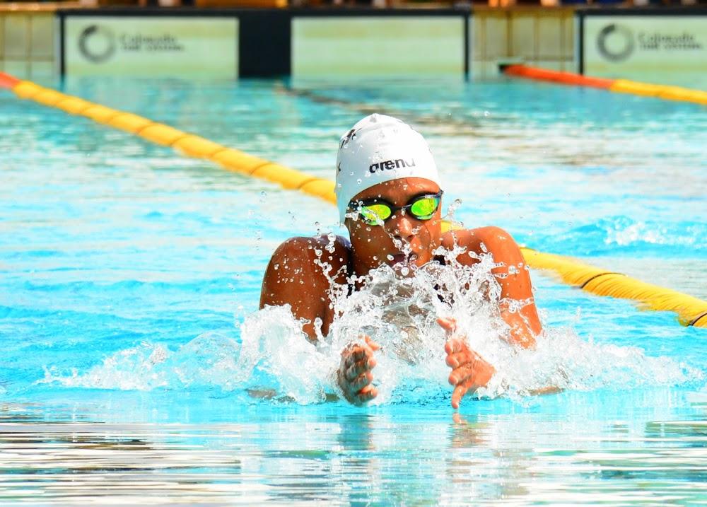 Swimming stakeholders want to form breakway federation Swimming stakeholders want to form breakway federation