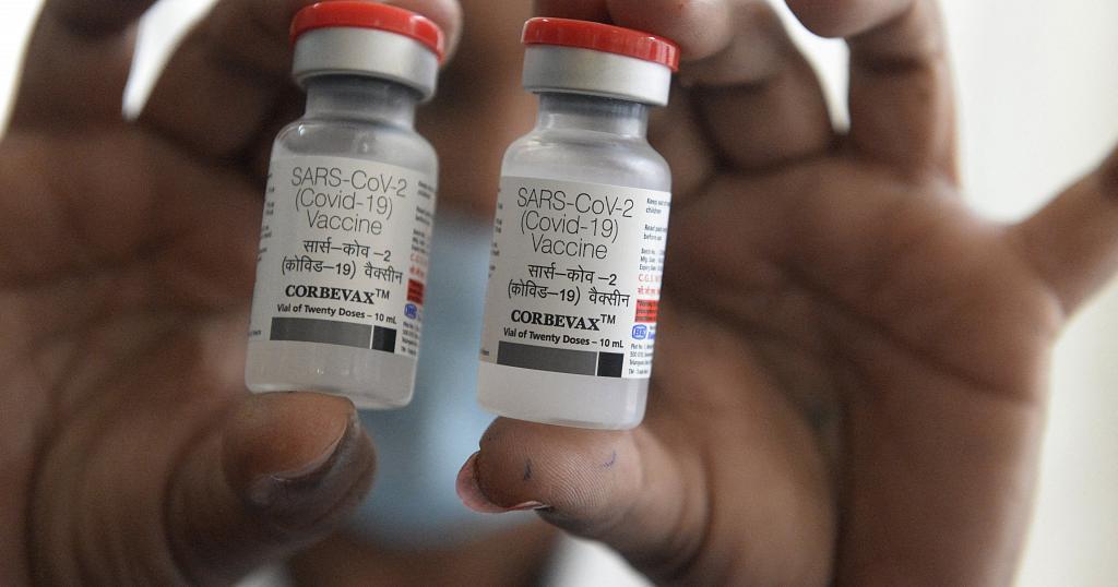 South Africa hailed by WTO over compromise on COVID vaccine production waivers