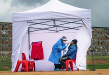 WHO believes up to 65% of Africans have had COVID WHO believes up to 65% of Africans have had COVID