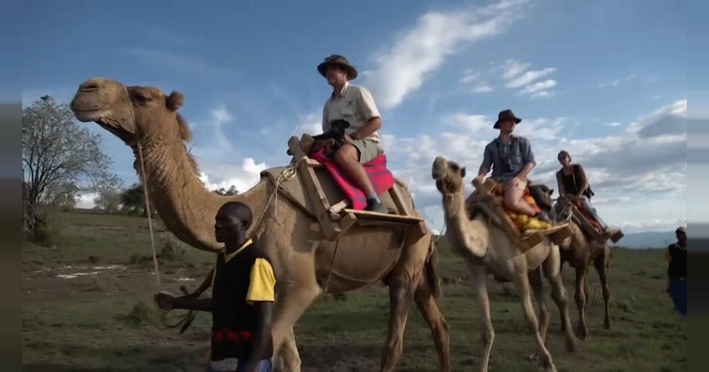 Safari company in Kenya offers trips on camels