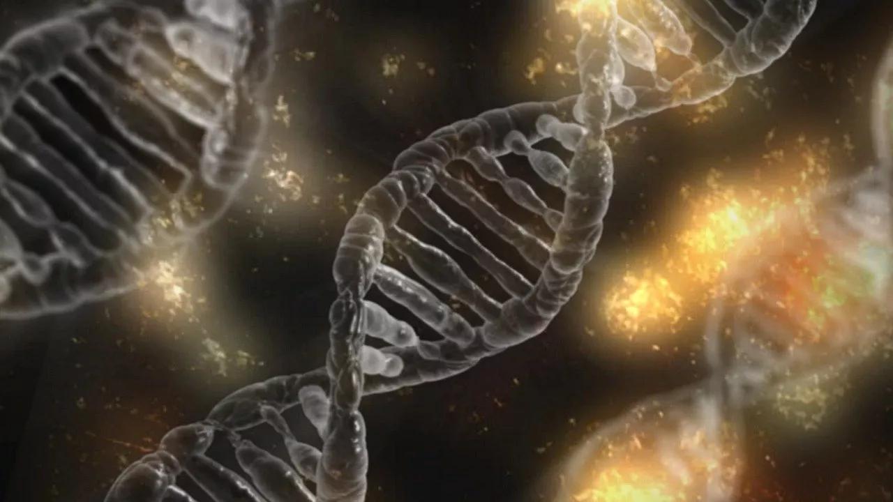 Scientists Lift Veil of Secrecy Concerning Functions of Human Genome Parts Scientists Lift Veil of Secrecy Concerning Functions of Human Genome Parts