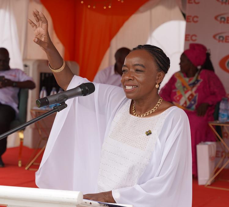 Court suspends appointment of seven REREC board members Court suspends appointment of seven REREC board members