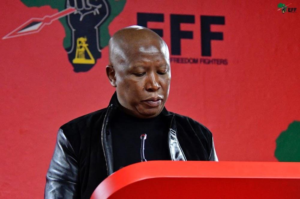 Malema congratulates Ruto, asks Raila to concede defeat Malema congratulates Ruto, asks Raila to concede defeat