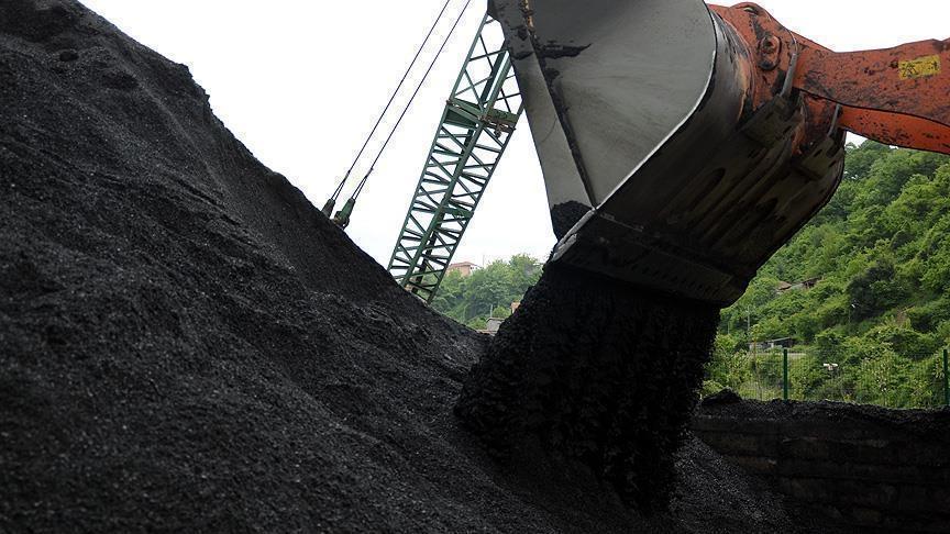 Gas, coal prices double 6 months into Russia-Ukraine war Gas, coal prices double 6 months into Russia-Ukraine war
