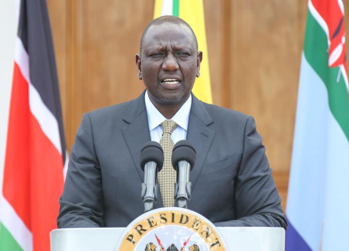 Ruto appoints 49 members to spearhead CBC reforms Ruto appoints 49 members to spearhead CBC reforms