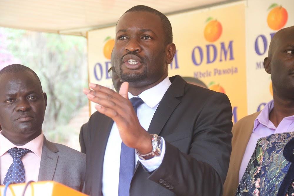 We are united! ODM says after Babu, Ledama outbursts We are united! ODM says after Babu, Ledama outbursts