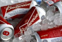 World Cup organizers to ban alcoholic beer sales at stadiums World Cup organizers to ban alcoholic beer sales at stadiums