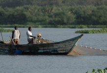 Disaster strikes fish farming in Kenya Disaster strikes fish farming in Kenya
