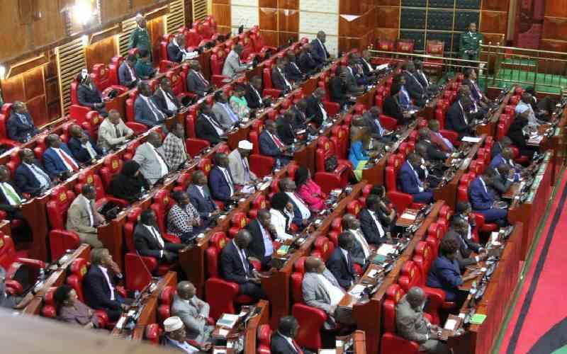 Long Wait For MPs To Entrench CDF In Law Kenya