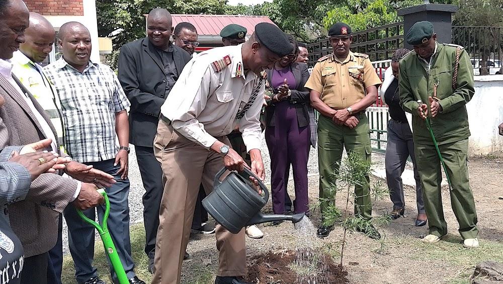 We'll plant 3.5 million trees monthly in Rift Valley - Maalim We'll plant 3.5 million trees monthly in Rift Valley - Maalim