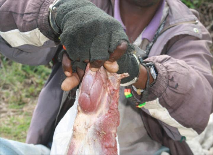 Health official calls for vigilance to curb sell of dog meat Health official calls for vigilance to curb sell of dog meat