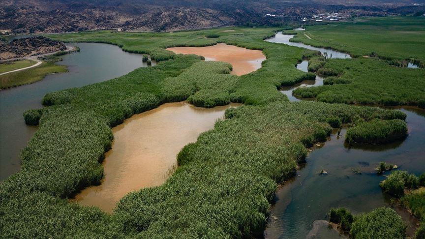 35% of world's wetlands disappeared in last 50 years 35% of world's wetlands disappeared in last 50 years