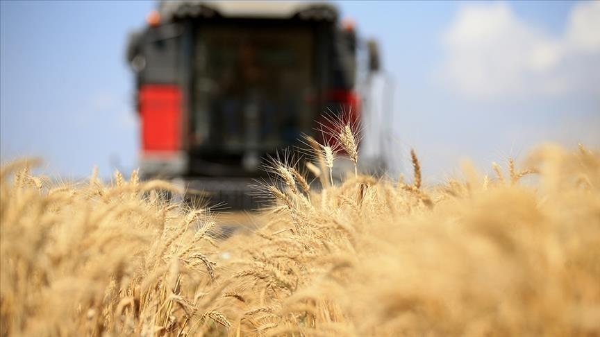 Russia limits grain exports to 25.5M tons Russia limits grain exports to 25.5M tons