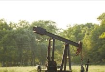 Oil up with fuel demand increase in US Oil up with fuel demand increase in US