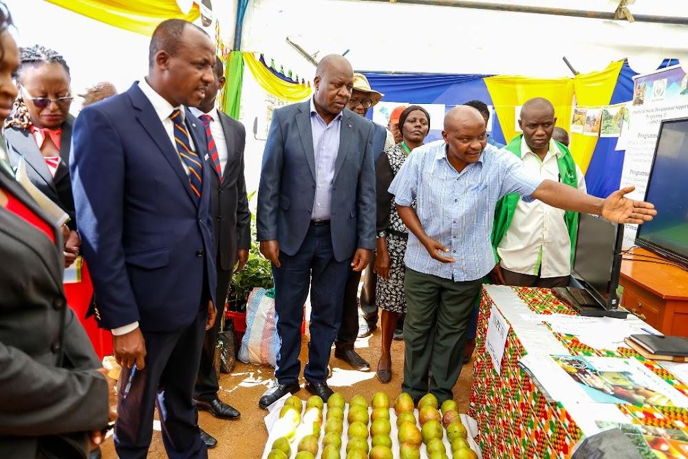 Mutula Jnr roots for mango fund at Wote conference Mutula Jnr roots for mango fund at Wote conference