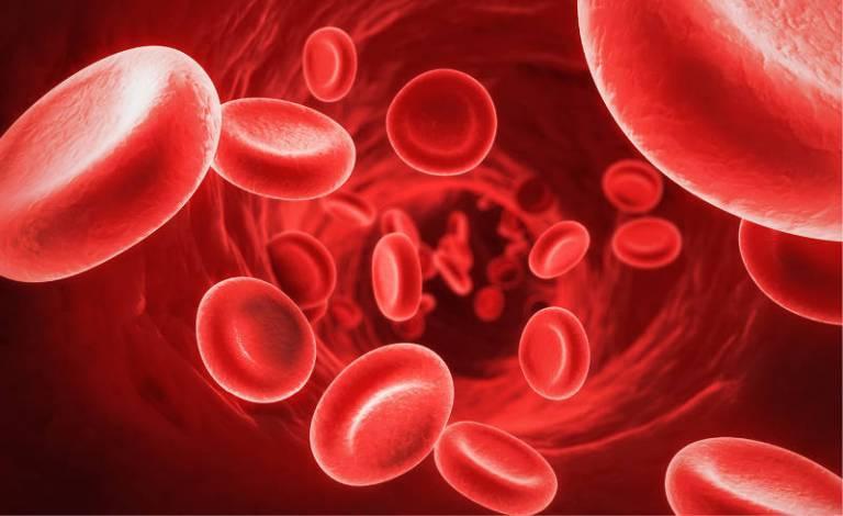 What you need to know about haemophilia What you need to know about haemophilia
