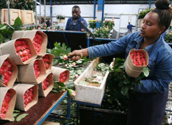 Flowers that make a difference: How fair wages are changing the lives of workers Flowers that make a difference: How fair wages are changing the lives of workers