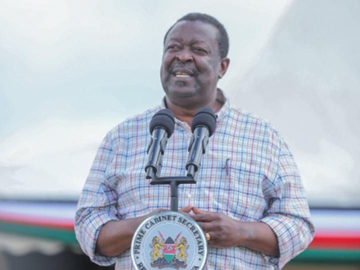 State won't relent on plan to plant 15bn trees – Mudavadi State won't relent on plan to plant 15bn trees – Mudavadi