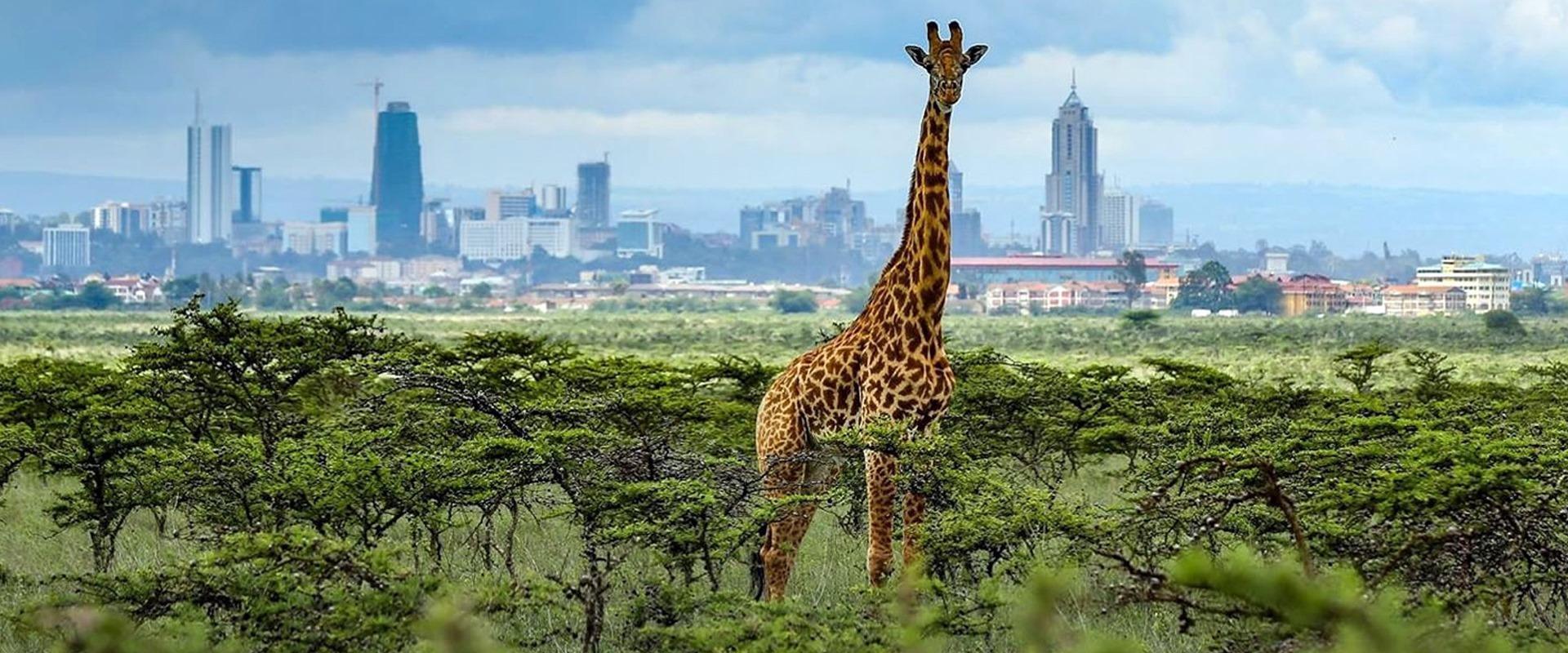 Nairobi's national park faces climate and human threats
