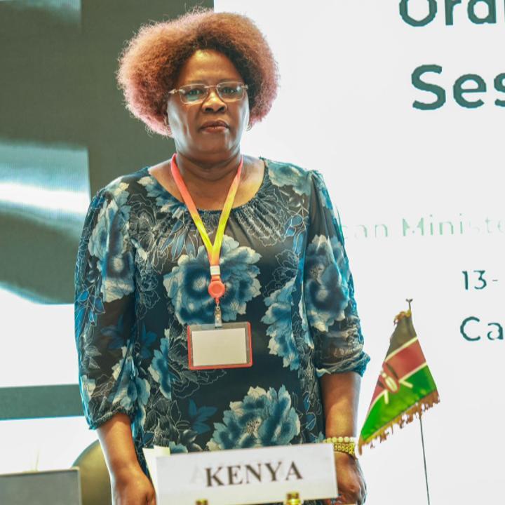 Egypt construction firms express interest in Kenya dam projects Egypt construction firms express interest in Kenya dam projects