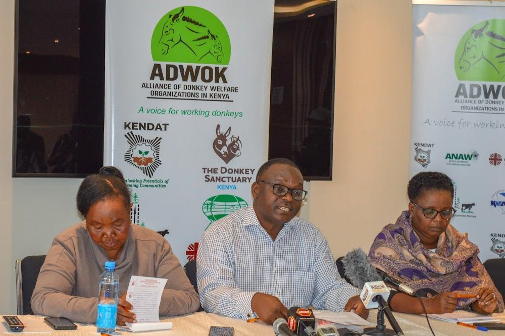 Donkey owners oppose plan to reopen slaughtering Donkey owners oppose plan to reopen slaughtering