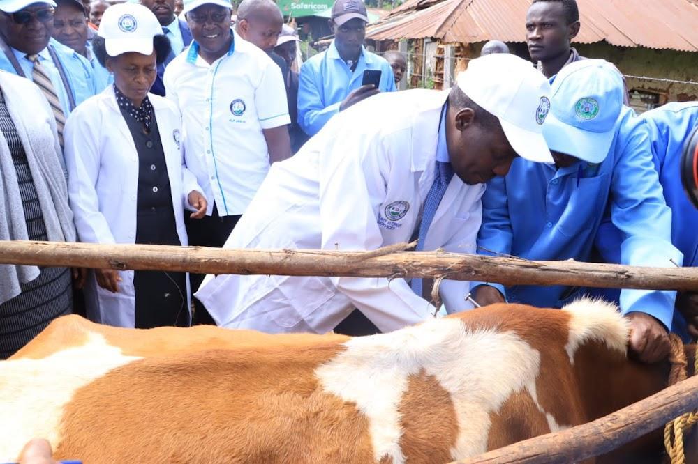 Arati launches vaccination program targeting over 140,000 livestock Arati launches vaccination program targeting over 140,000 livestock