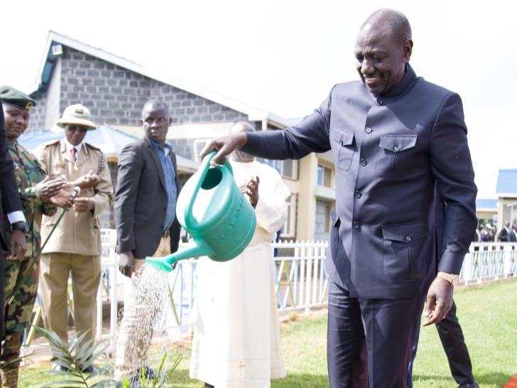 Ruto defends move to lift logging ban in State forests Ruto defends move to lift logging ban in State forests