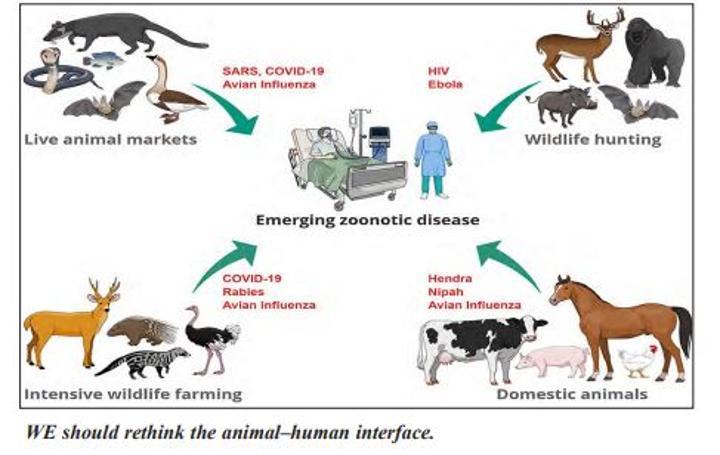 Current zoonotic diseases challenges in the East African Region Current zoonotic diseases challenges in the East African Region