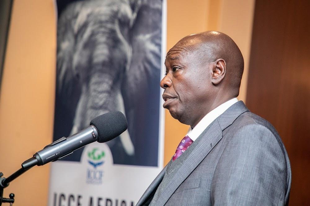 I'm the custodian of 'government shares' book - Gachagua I'm the custodian of 'government shares' book - Gachagua