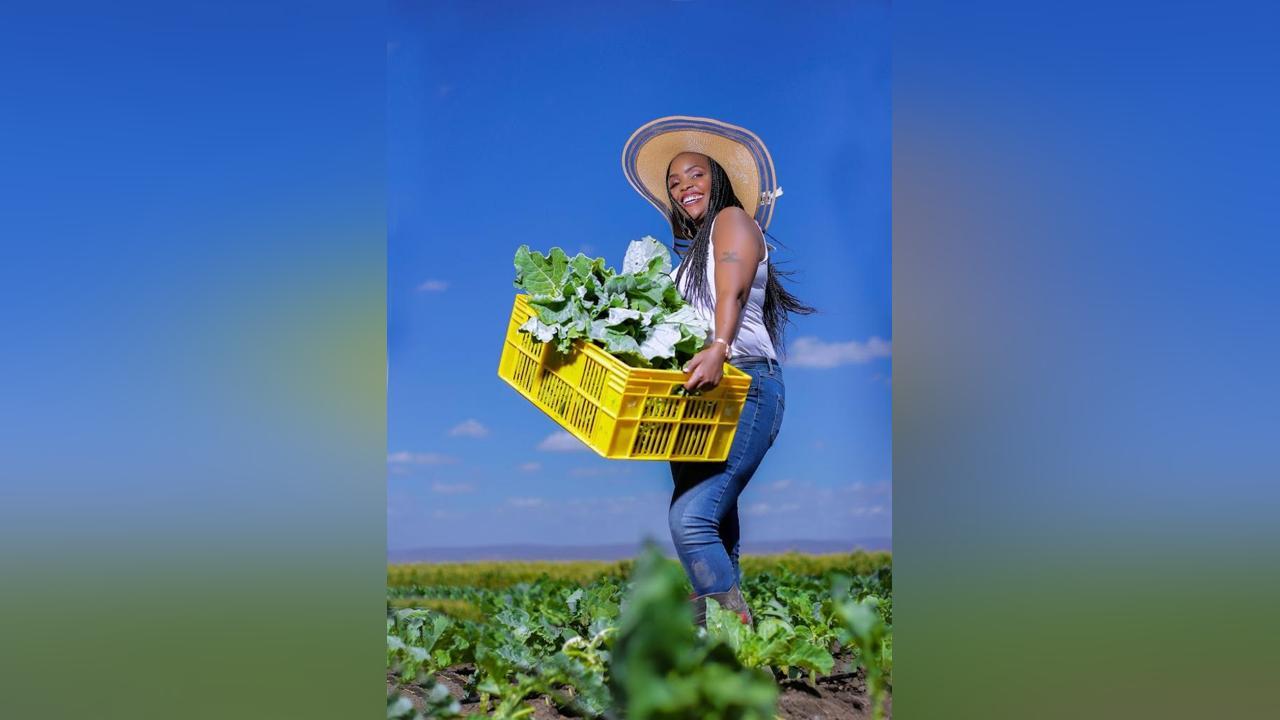 Farmer on Fire to train 1,000 agripreneurs on how to attract grants Farmer on Fire to train 1,000 agripreneurs on how to attract grants