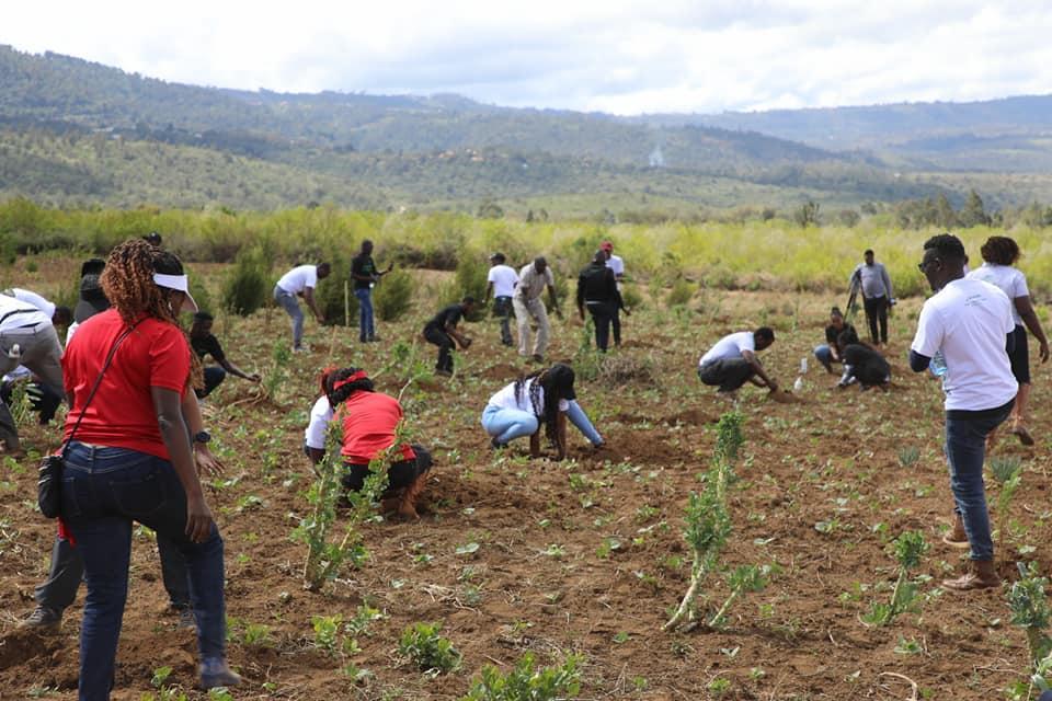 Rwanda calls for joint efforts to safeguard planet's natural heritage Rwanda calls for joint efforts to safeguard planet's natural heritage