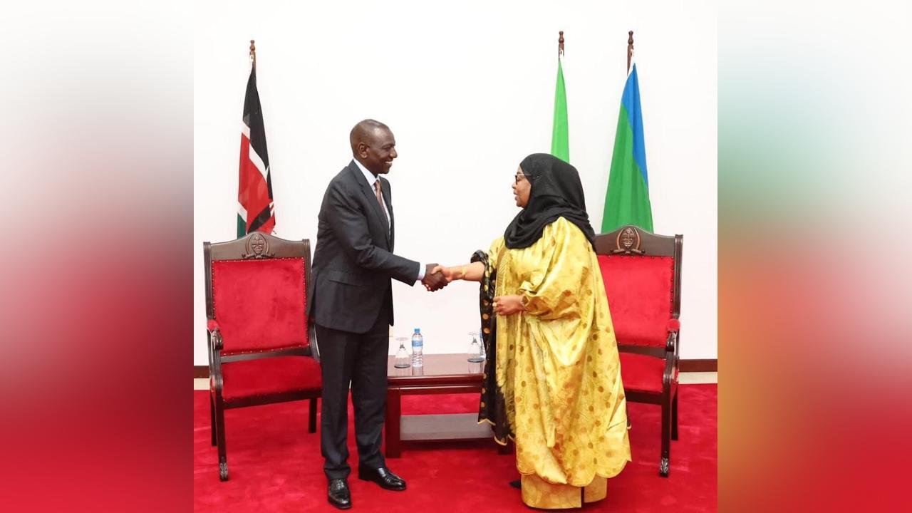 President Ruto meets Suluhu amid snub claims President Ruto meets Suluhu amid snub claims