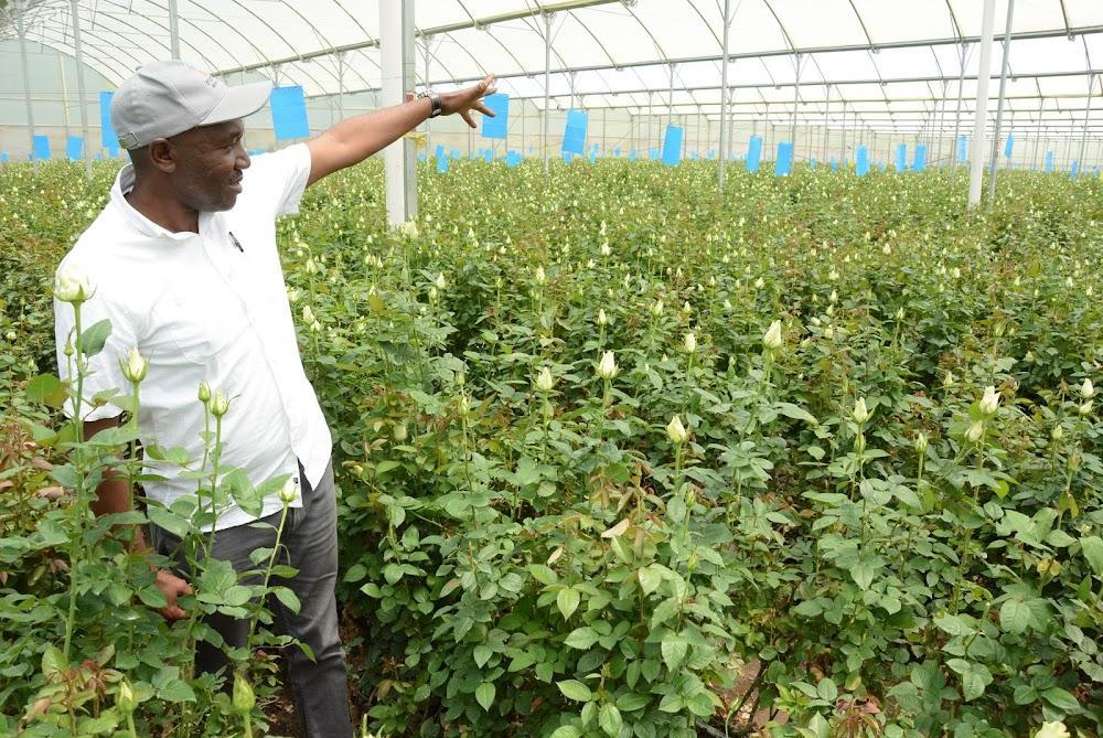 Flower farmers petition government to pay VAT refunds Flower farmers petition government to pay VAT refunds