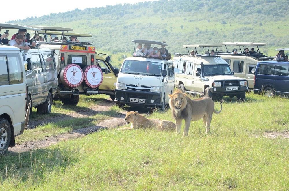Kenya to root for viable tourism at climate talks Kenya to root for viable tourism at climate talks