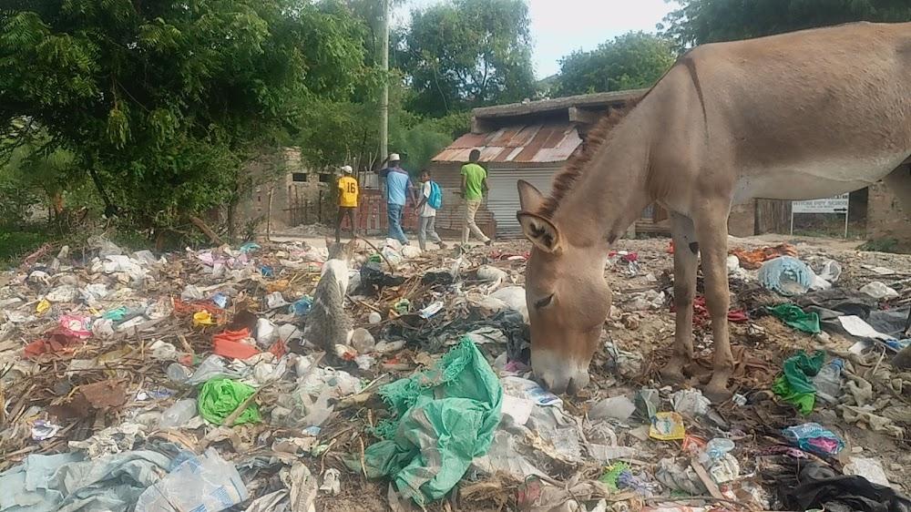 Producers have 60 days to effect new waste rule - NEMA Producers have 60 days to effect new waste rule - NEMA