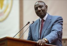 Kenyan leader, US special envoy hold security, democracy talks on Horn of Africa Kenyan leader, US special envoy hold security, democracy talks on Horn of Africa