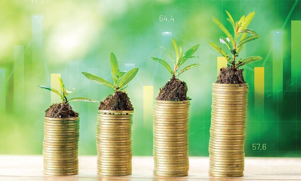 Business people urged to support viable green projects Business people urged to support viable green projects