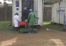 Kenya: Solar powered cold storage helps farmers reduce costly waste Kenya: Solar powered cold storage helps farmers reduce costly waste