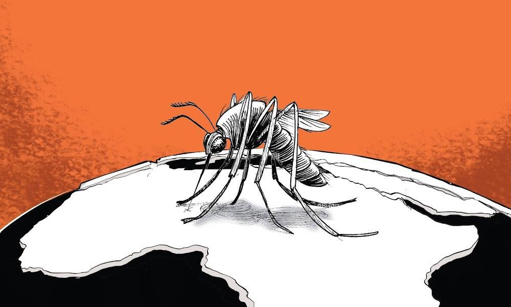 New, cheap malaria vaccine backed by WHO New, cheap malaria vaccine backed by WHO