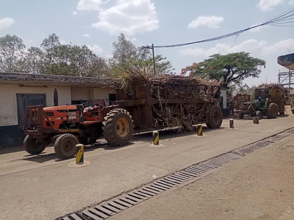 Ruto's government gets free hand to sell state agencies Ruto's government gets free hand to sell state agencies