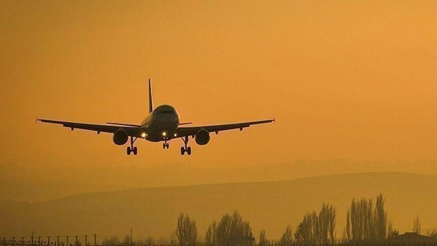 Global air travel grows 31.2% annually in October
