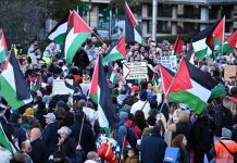 US’ Harvard undergrads face disciplinary action after taking part in pro-Palestine protests US' Harvard undergrads face disciplinary action after taking part in pro-Palestine protests