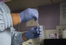 WHO report finds ‘major increase’ in sexually transmitted infections WHO report finds 'major increase' in sexually transmitted infections