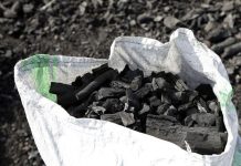 Delegates advocate for universal clean cooking at Energy Conference Delegates advocate for universal clean cooking at Energy Conference