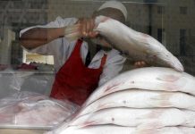 Fish stocks dwindle in Lake Victoria amid high demand from Asia Fish stocks dwindle in Lake Victoria amid high demand from Asia