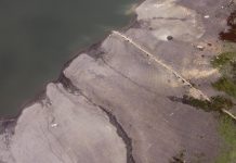 How is climate change fueling a global surge in diseases? How is climate change fueling a global surge in diseases?