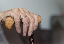 Global population tops 8 billion as aging trend accelerates Global population tops 8 billion as aging trend accelerates