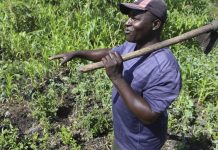 farmers turn to sustainable methods to combat soil acidity farmers turn to sustainable methods to combat soil acidity